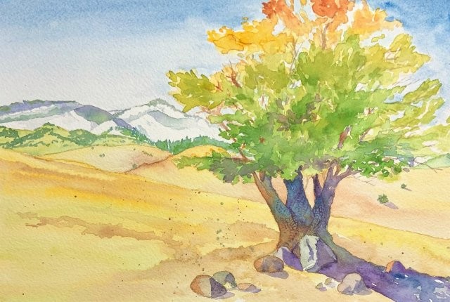 Sacred Tree