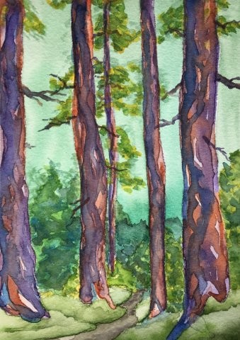 Silent Forest