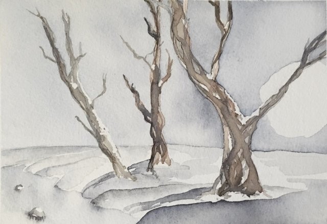 Frozen River