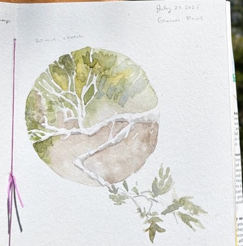 Huckleberry Oak